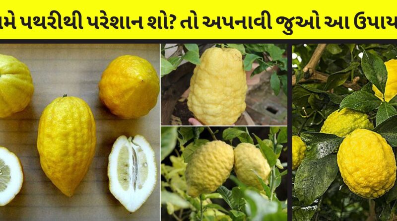 તમે પથરીથી પરેશાન શો? તો અપનાવી જુઓ આ ઉપાય!